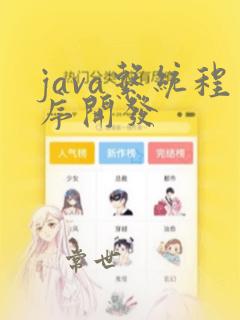 java系统程序开发