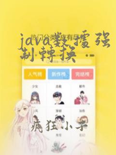 java数据强制转换