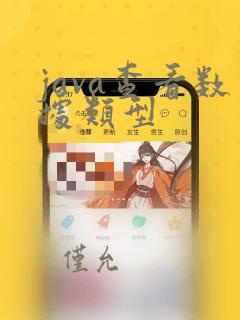 java查看数据类型