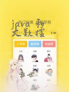java 和 大数据
