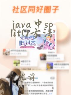 java中split()方法