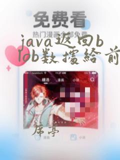 java返回blob数据给前台