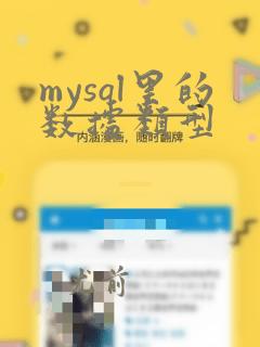 mysql里的数据类型
