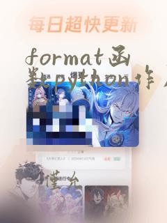 format函数python作用
