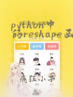 python中的reshape函数