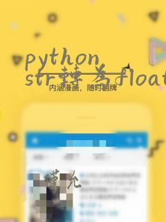 python str转为float