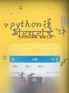 python复制excel文件