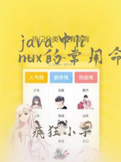 java中linux的常用命令