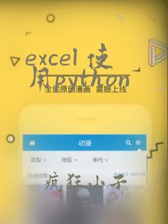 excel 使用python