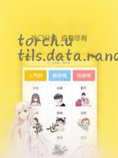 torch.utils.data.random_split