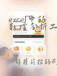 excel中的数据分析工具