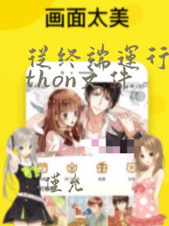 从终端运行python文件