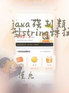 java强制类型string转换int