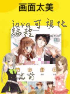 java可视化编程