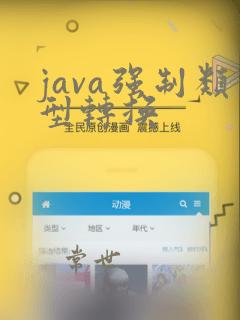 java强制类型转换