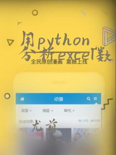 用python分析excel数据