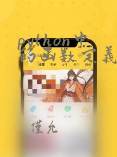 python中的函数定义