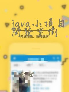 java小项目开发实例
