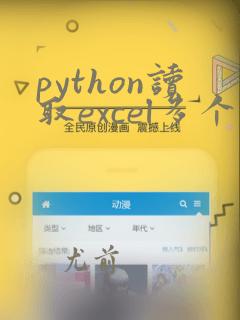 python读取excel多个sheet