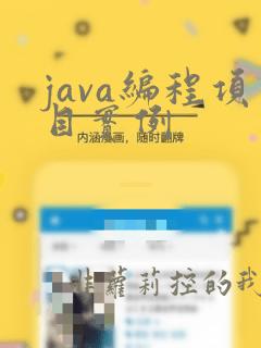 java编程项目实例