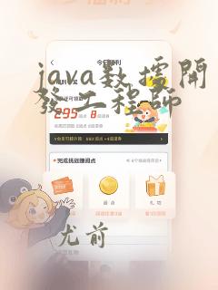 java数据开发工程师