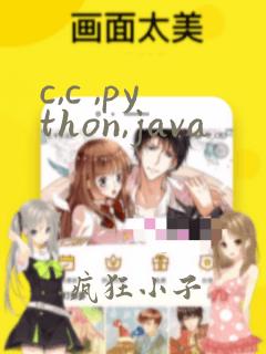 c,c ,python,java