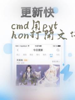 cmd用python打开文件