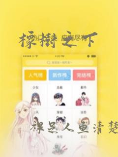橡树之下：结局+番外