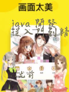 java 开发从入门到精通