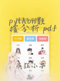 python数据分析 pdf