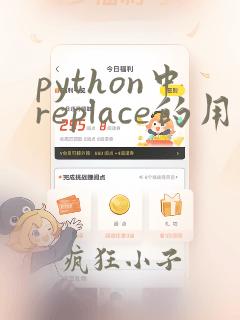 python中replace的用法