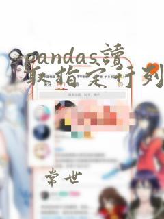 pandas读取指定行列