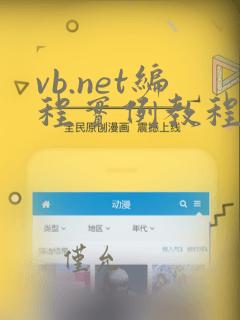 vb.net编程实例教程