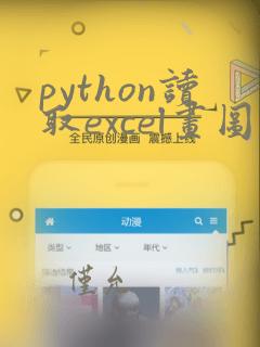 python读取excel画图