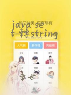 java set 转string