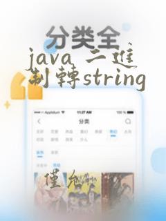 java 二进制转string