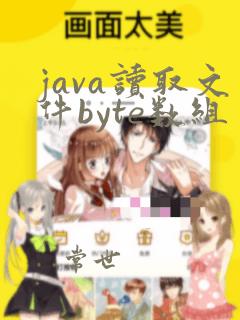 java读取文件byte数组