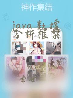 java 数据分析框架