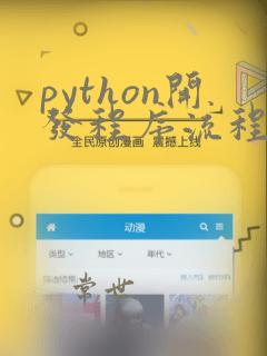 python开发程序流程