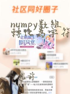 numpy数组转化为字符串