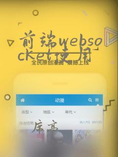 前端websocket使用