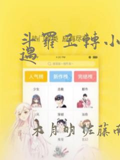斗罗玉转小舞奇遇：结局+番外
