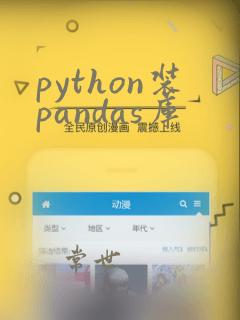 python装pandas库