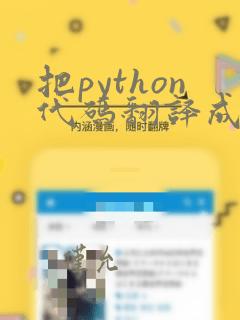 把python代码翻译成java代码