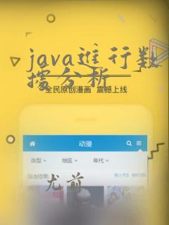 java进行数据分析