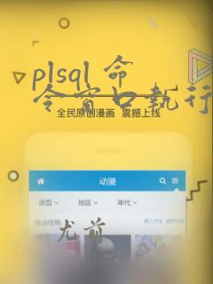 plsql 命令窗口执行sql文件