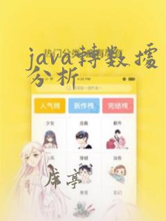 java转数据分析