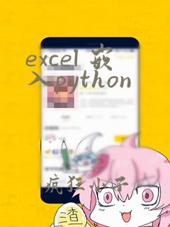 excel 嵌入python