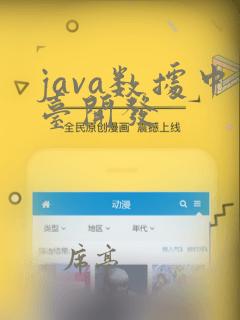 java数据中台开发