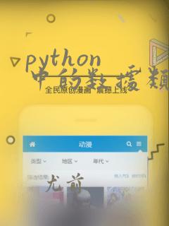 python 中的数据类型
